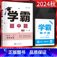 数学 八年级上 [正版]2024秋 学霸题中题八年级上册数学北师大版BSD 初二数学练习册 学霸八年级上册数学同步课时提