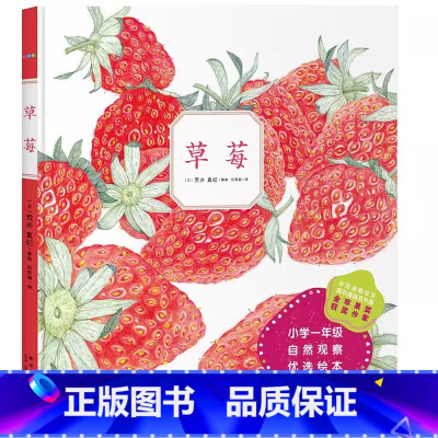 草莓[精装 点读版] [正版]点读版心喜阅绘本馆善平爷爷的草莓 获奖平装海豚绘本花园儿童图画故事书幼儿园宝宝亲子阅读低幼