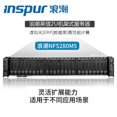 浪潮服务器（INSPUR）NF5280m5机架式2u服务器主机m4升级款2*银牌4210R20核2.4GHz-64G5*4TSASPM8204