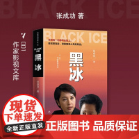 黑冰 张成功 著 小说