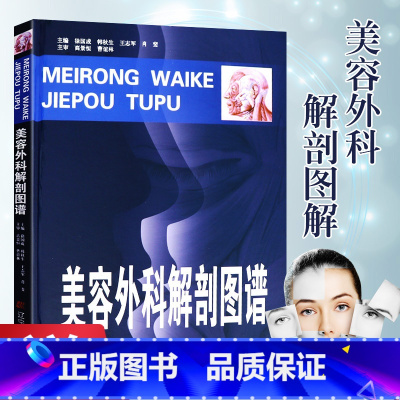 [正版] 美容外科解剖图谱 精装 高景恒 曹谊林 可搭面部分区解剖图谱手术原理与整形实践 美容整形美容医学书辽宁科学技