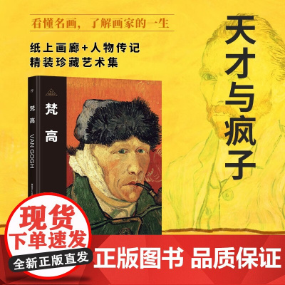 伟大画家 梵高 西班牙Sol90公司 著 绘画