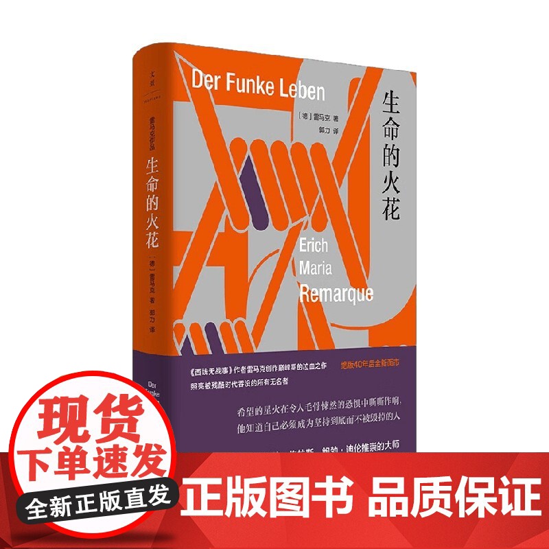 生命的火花 雷马克 著 小说