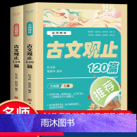 (全两册)2024名师精讲古文观止120篇 [正版]名师精讲古文观止120篇(全两册)中学生疑难字注音古文赏析学教一体对