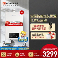能率(NORITZ) 16升燃气热水器 全屋恒温巡航 多点用水恒温 智慧息屏 天然气强排式 16EA2FEX