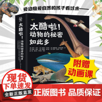太酷啦!动物的秘密如此多全12册 凯特·贝蒂著12大动物主题800个动物惊人秘密动物自然科学生物学科普绘本中小学生课外阅