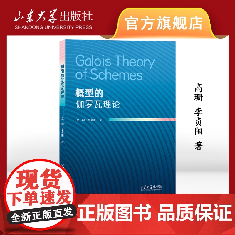 正版 概型的伽罗瓦理论 高珊 李贞阳著 9787560781945 山东大学出版社