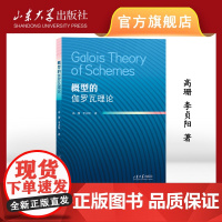 正版 概型的伽罗瓦理论 高珊 李贞阳著 9787560781945 山东大学出版社