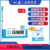 压轴题 八年级/初中二年级 [正版]八年级数学压轴题2024初中数学有理数方程初二数学必刷题8年级上下册通用数学专题训练