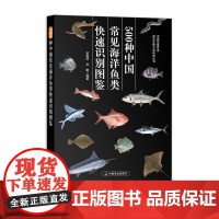 500种中国常见海洋鱼类快速识别图鉴