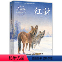 红豺 [正版]沈石溪动物小说全集感悟生命书系 狼王梦姊妹篇 红豺 6-12-15岁儿童文学中小学生课外阅读物 学校阅读课