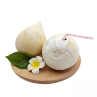 [熊猫鸟]海南牛奶椰皇 4个装 中果 单果500-750g 新鲜椰子 当季热带水果