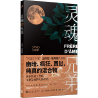正版新书]灵魂兄弟(法)达维德·迪奥普9787020156740