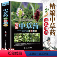 [正版]抖音同款精编中草药书籍大全辞典彩图大全书 中药图谱书籍中医