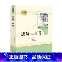 [九年级上册/人教版]唐诗三百首 初中通用 [正版]红星照耀中国昆虫记 水浒传艾青诗选 朝花夕拾西游记人民教育出版社初一