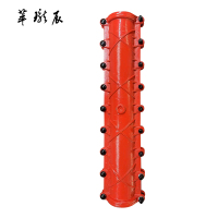 萃珑辰 球墨铸铁加长堵漏器(包铸铁管)DN200*1000 个