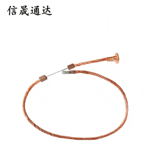 信晟通达 熔丝 RW-10/15A 根