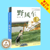 [醉染正版]野风车 曹文轩纯美小说系列 江苏少年儿童出版社 儿童文学 小学生三四五六年级课外读物暑假课外书