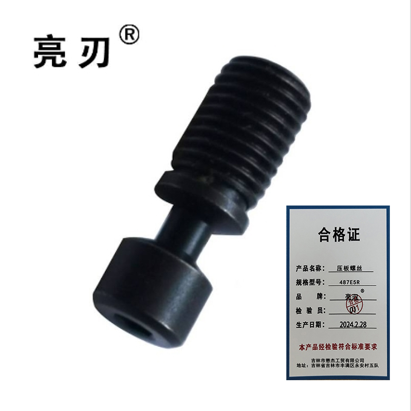 亮刃 压板螺丝 487E5R 个