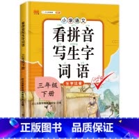 看拼音写生字词语三年级下册 三年级下 [正版]汉之简看拼音写词语三年级下册 人教版小学3年级下语文同步练习专项训练看字写