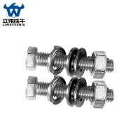 立伟铁牛不锈钢螺栓(含1母1弹垫2平垫)M16*60 条