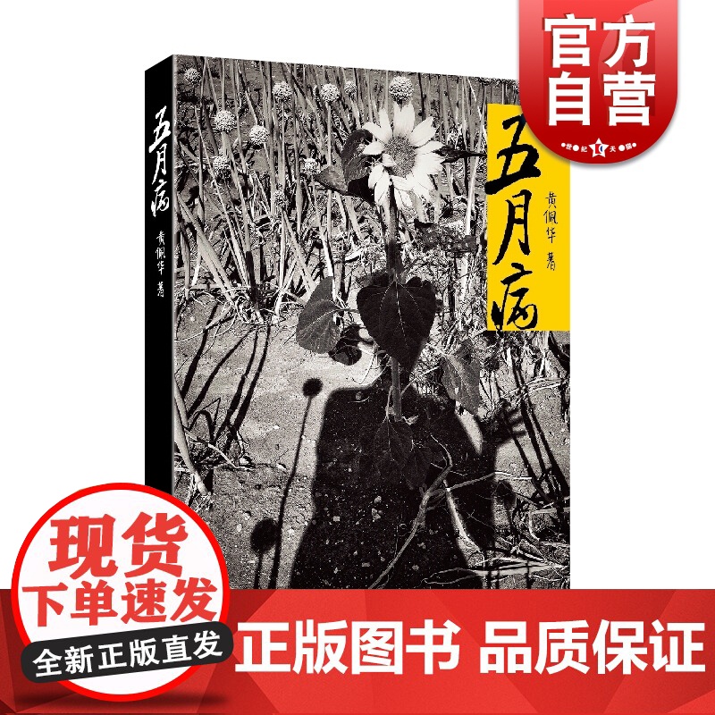 五月病 黄佩华 上海文艺出版社