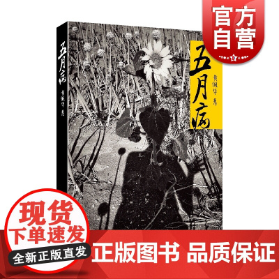 五月病 黄佩华 上海文艺出版社