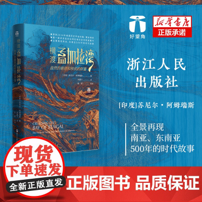 好望角丛书 横渡孟加拉湾 自然的暴怒和移民的财富南亚东南亚史关于经济整合和移民迁徙的大型故事历史文化书籍