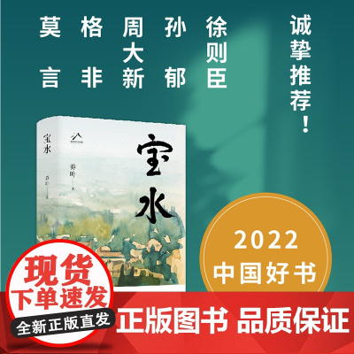 宝水 乔叶 茅盾文学奖2022中国好书莫言格非十月文艺图雪山大地千里江山图乡土中国读懂故乡 新经典 中国当代文学长篇