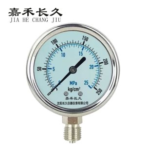 嘉禾长久 耐震压力表检测定制型 YTN50 块