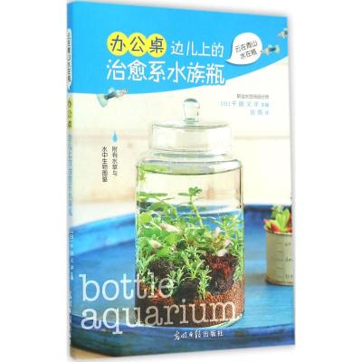 办公桌边儿上的治愈系水族瓶