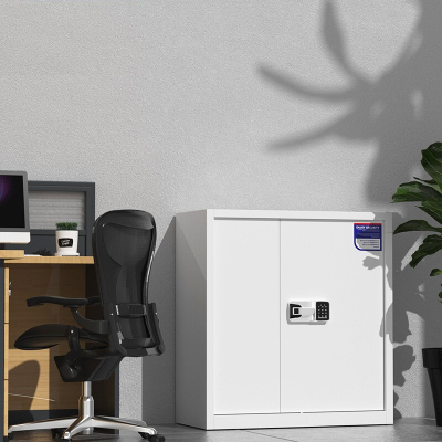 绵冠保密柜文件柜双保险铁皮柜办公资料柜档案柜钢制防盗密码柜灰白 智能密码锁矮柜