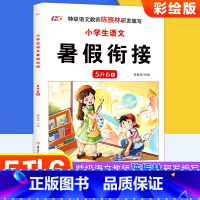 无颜色 五升六 [正版]小学生语文暑假衔接5升6