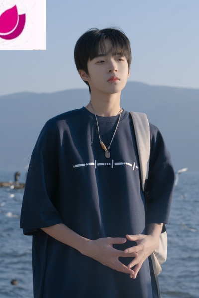 七斓日系cityboyt恤男夏季美式大码短袖2023新款半袖中袖