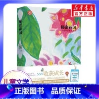 秘密花园 [正版]秘密花园 6-9-12岁小学生一二三四五六年级儿童文学经典童话故事书课外读物书籍亲子睡前共读读物儿童读