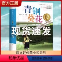 青铜葵花 [正版]青铜葵花曹文轩原著完整版四年级下册草房子纯美小说系列儿童文学五年级江苏少儿出版社人教版六年级中小学生青