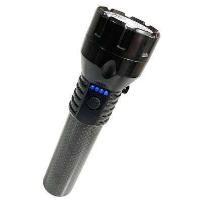 迪利登 便携强光手电筒 防汛照明工作灯 FW7520 台