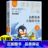 [彩图注音]企鹅寄冰·大象的耳朵 [正版]企鹅寄冰·大象的耳朵 注音版 冰波著二年级上册小学生课外书一年级三年级童话阅读