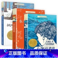 (3册)永不变老的日记+你那样勇敢+枫树山的奇迹 [正版]夏洛书屋经典版总有一天会长大二三四年级课外阅读 书小学生非注音