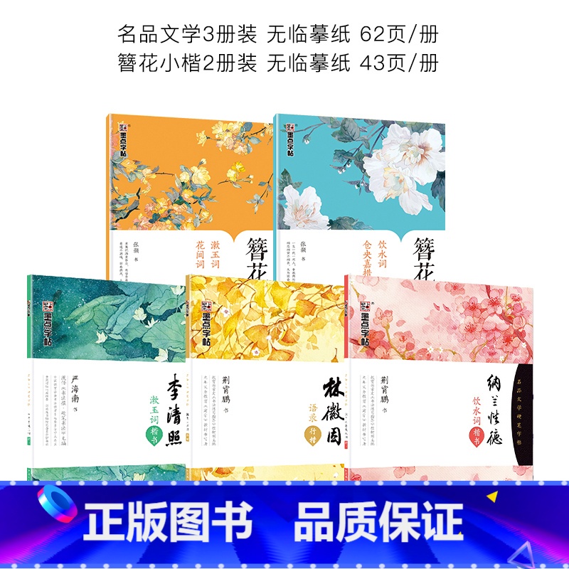 女生唯美字帖5本描红套装 [正版]字帖女生字体漂亮文艺清新古风练字大学生高中生速成初学者簪花小楷字帖卫夫人女网红练字帖硬