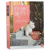 正版新书]白领文摘——酔美生活卷陈洁9787535275981