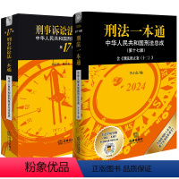 [正版]直发2本套装 刑法一本通(第17版)含刑法修正案(十二) +刑事诉讼法一本通(第17版)