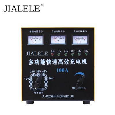 JIALELE 多功能快速高效充电机 100A 台