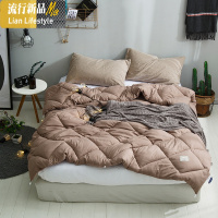 超软水洗棉学生白色被芯四季通用单双人棉被褥秋冬被加厚保暖被子 三维工匠