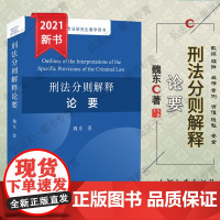 正版 刑法分则解释论要 魏东 著 刑法专业研究生教学用书 北京大学出版社