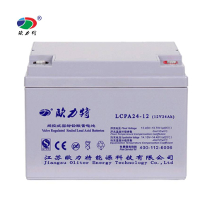 欧力特阀控密封铅酸蓄电池 12V24Ah/LCPA24-12