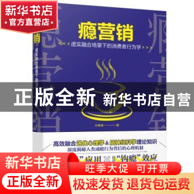 正版 瘾营销:虚实融合场景下的消费者行为学 孙惟微 广东人民出版