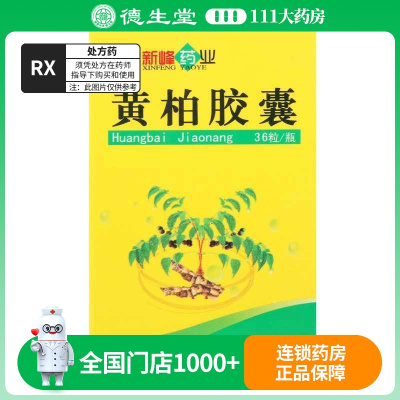 新峰 黄柏胶囊 1g*36粒*1瓶/盒