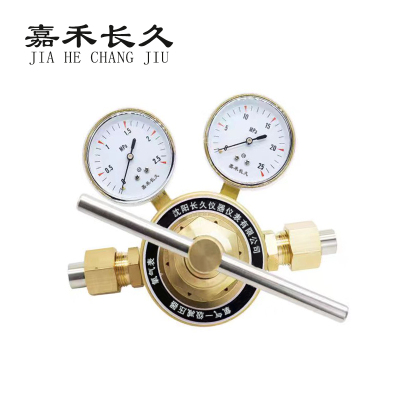 嘉禾长久 氧气一级减压气检测定制型 氧气表 个