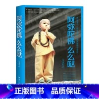 [正版] 阿弥陀佛么么哒 大冰继《乖摸摸头我不大冰的新书全套四五册》暖心励志故事随笔青春励志丛书籍短篇小说集你坏